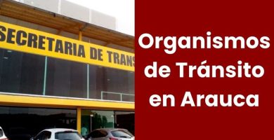 Organismos de Tránsito en Arauca