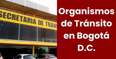 Organismos de Tránsito en Bogotá D.C.