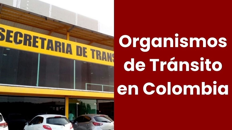 Organismos-de-Transito-en-Colombia
