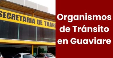 Organismos de Tránsito en Guaviare