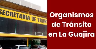 Organismos de Tránsito en La Guajira