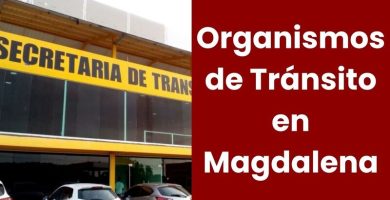 Organismos de Tránsito en Magdalena
