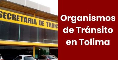 Organismos de Tránsito en Tolima