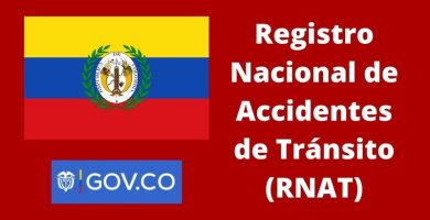 Registro Nacional de Accidentes de Tránsito (RNAT)