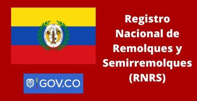 Registro Nacional de Remolques y Semirremolques RNRS